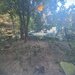 Colentina,